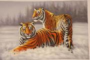 Tigers 022 unknow artist